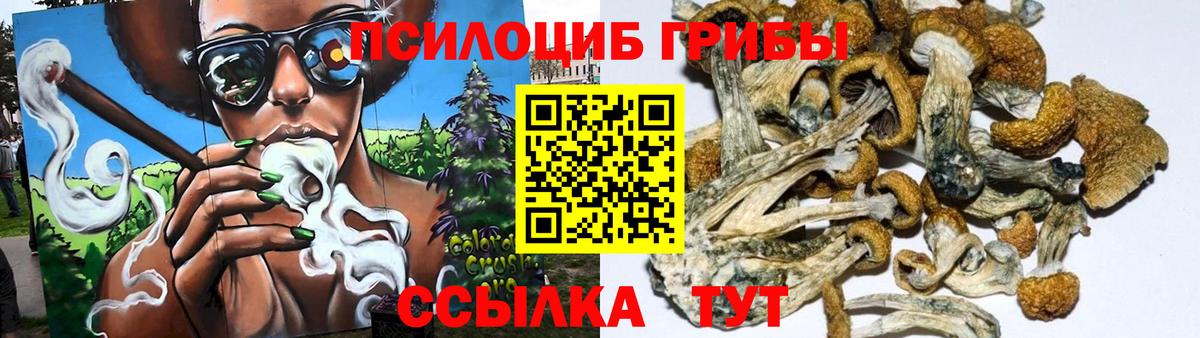 Галлюциногенные грибы Cubensis  Вход с VPN  Галлюциногенные грибы MAGIC MUSHROOMS  Белебей 